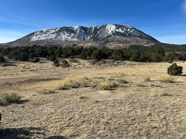 LOT 97 Colorado Land And Grazing, Gardner, CO 81040
