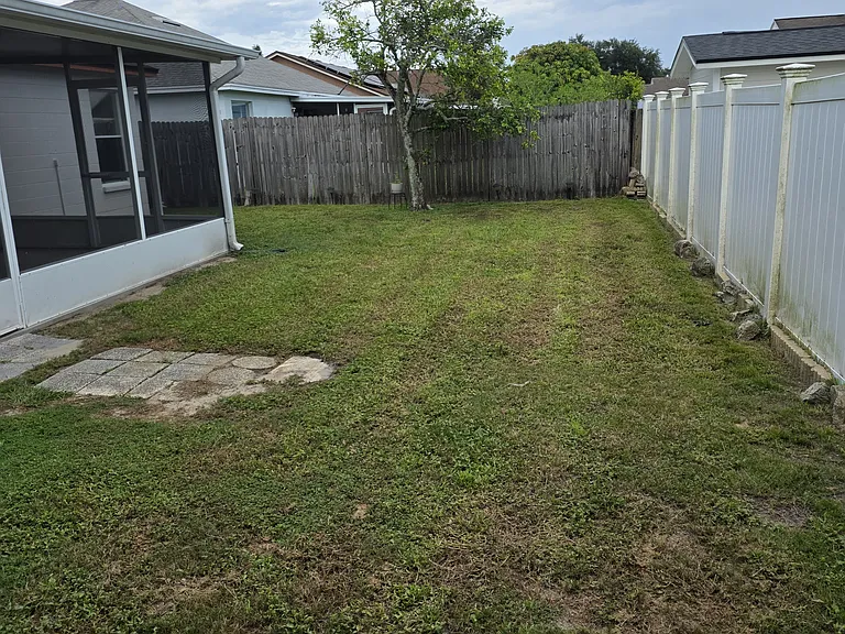 backyard picture showing screened in area and grapefruit tree