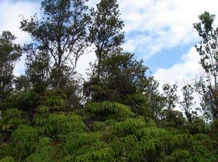 11 3212th #31, Volcano, HI 96785