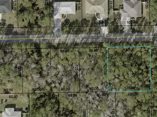 32 LAGUNA FOREST TRAIL LOT 22, PALM COAST, FL 32164