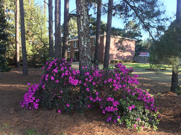 3rd image of 118 Wisteria Hill Dr