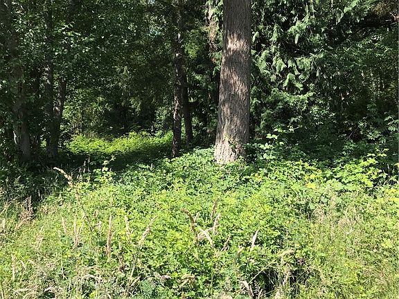 3rd image of 1 Bonnie Ln