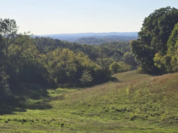 Old Baileyton Rd, Afton, TN 37616