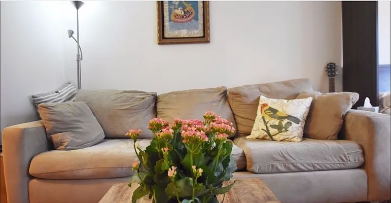 Rented by Douglas Elliman | media 4