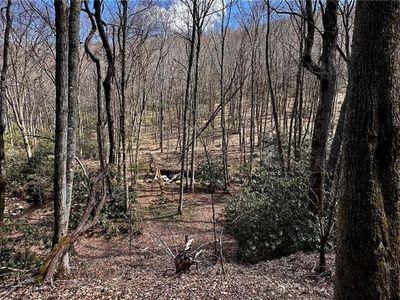 0 State Highway 194 S, Banner Elk, NC, 28604