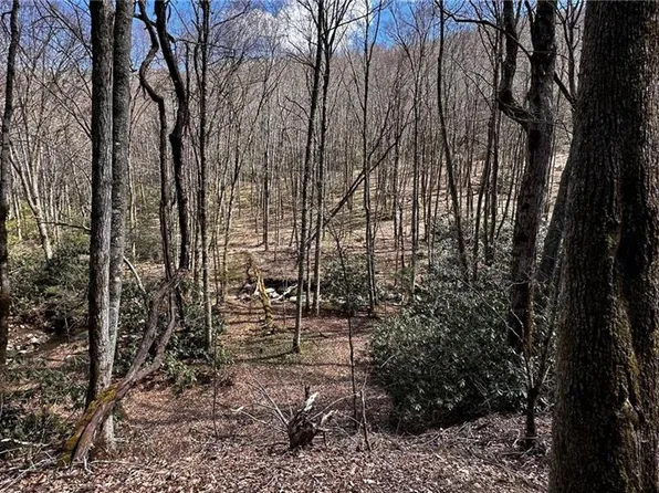 0 State Highway 194 S, Banner Elk, NC 28604