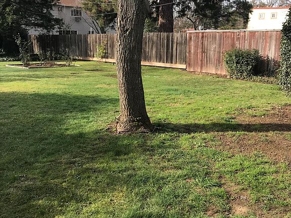 Back yard