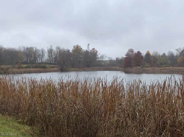 38696 Saltwell Rd, Lisbon, OH 44432