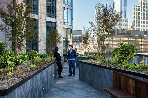 Rented by Gotham Organization | media 19