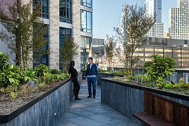 Rented by Gotham Organization