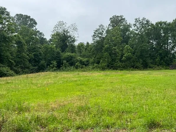 TRACT Two Watts Rd #J, Livingston, LA 70754