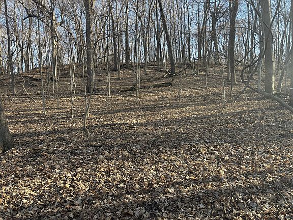 2nd image of 2960 N 2553rd Rd Lot 2