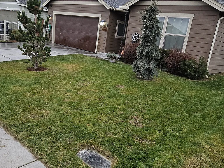 Front of house