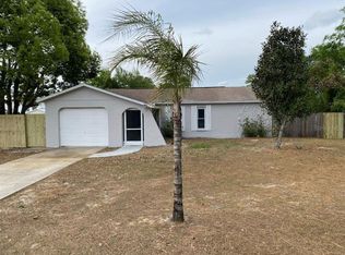 11419 Janet Ave, Spring Hill, FL 34608