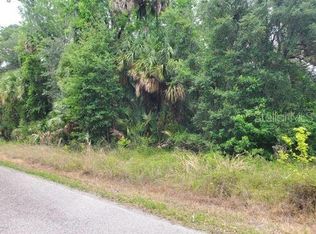 Still Rd, Pierson, FL 32180