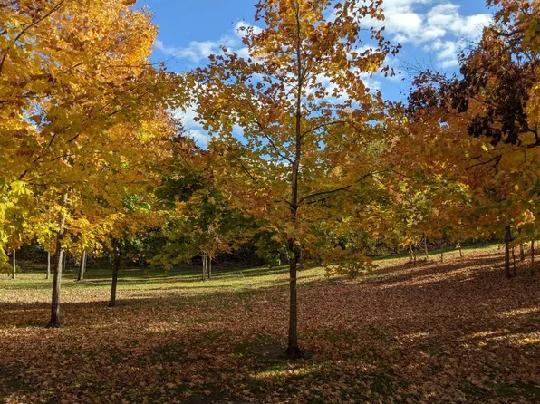 0 365th St, Ottertail, MN 56571