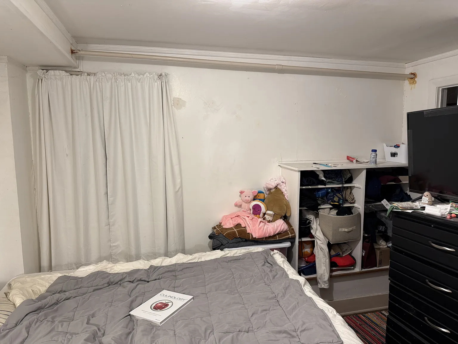 113 Osmun Place - Apt. 1 — Photo 3