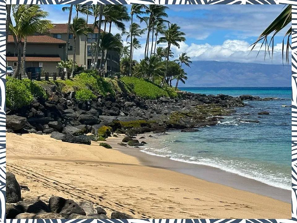 4242 Lower Honoapiilani Rd