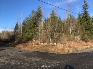 32800 40th Ave S LOT 1, Roy, WA 98580