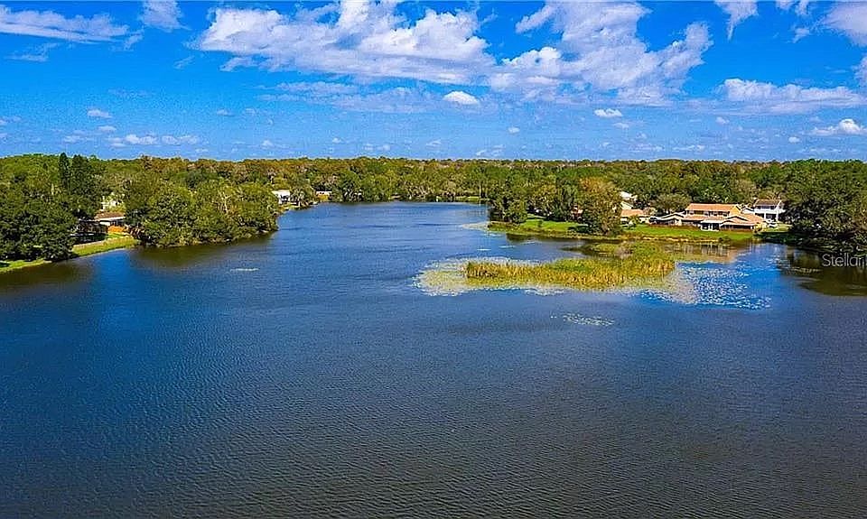 The Lake viewing Townhome
