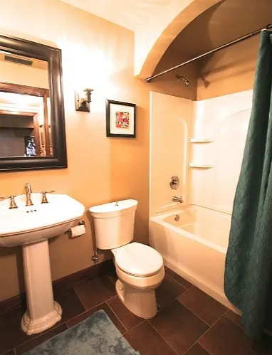 Downstairs Bathroom Shower