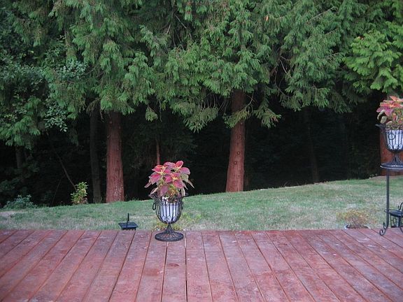 Backyard & private park