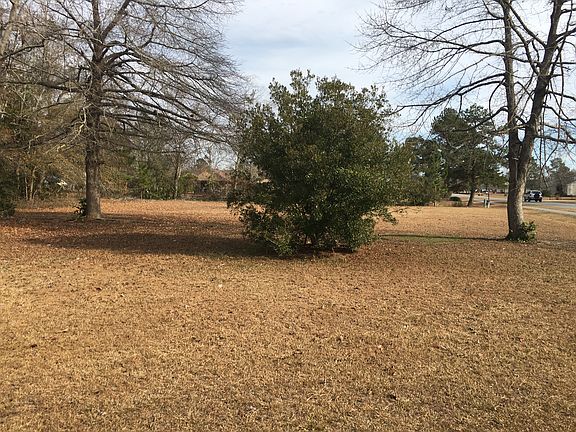 mature live hard wood on lot