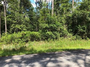 10310 Nikolich Ave, Hastings, FL 32145