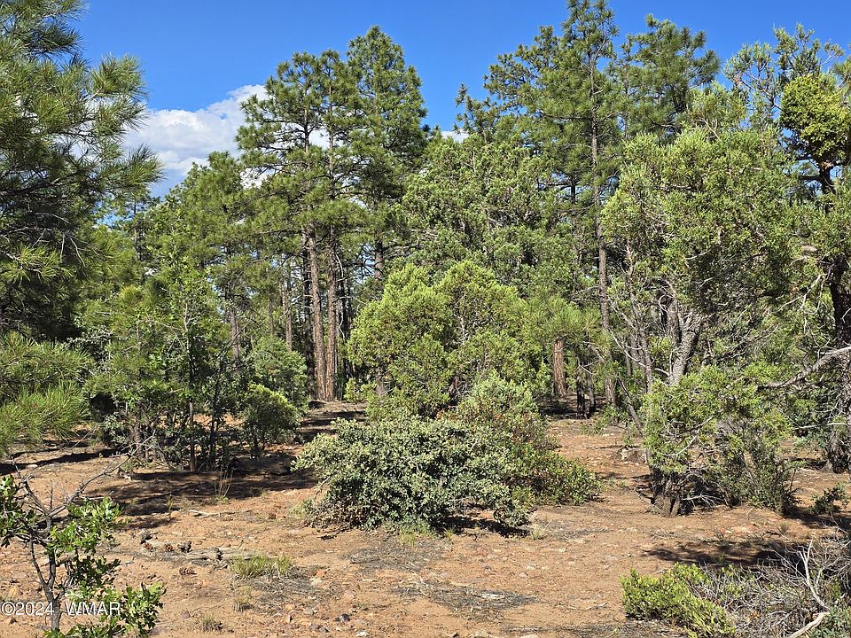 2nd image of 2335 S Twin Peak Trl