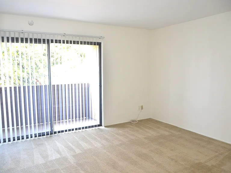 9423 Gold Coast Dr #C2 — Photo 10