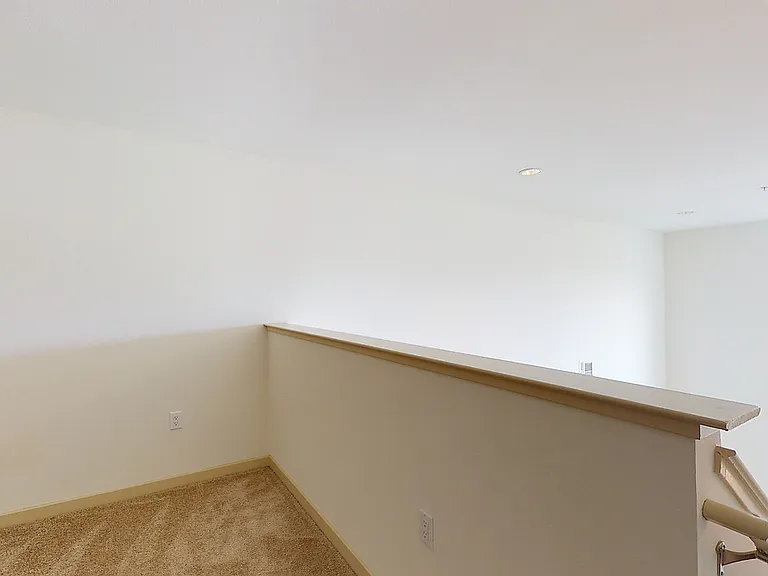 Paragon — Photo 29