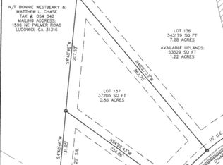 23 Palmer Place Ln NE, Ludowici, GA 31316