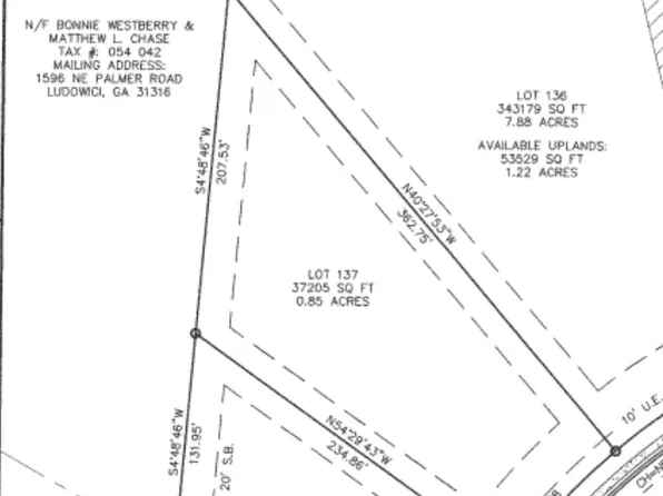 23 Palmer Place Ln NE, Ludowici, GA 31316