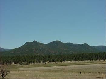 2nd image of 100 County Road 2130