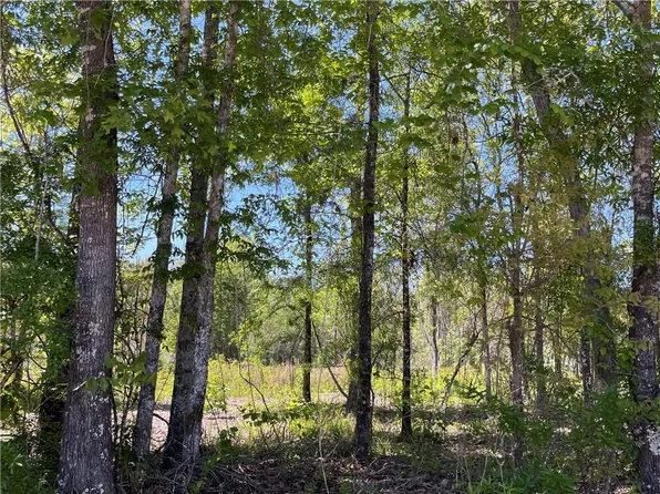0 Mercer Rd, Pineville, LA 71360