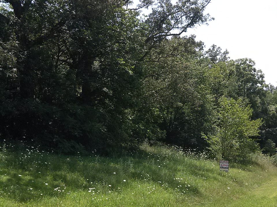 2nd image of Limes Rd