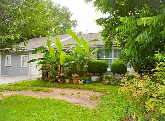 Front of the house from the other side. Lots of plant life!