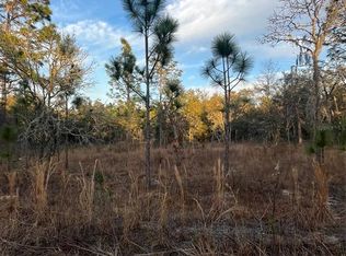 Tba Northeast Ct #148, Williston, FL 32696