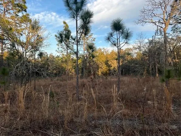 Tba Northeast Ct #148, Williston, FL 32696