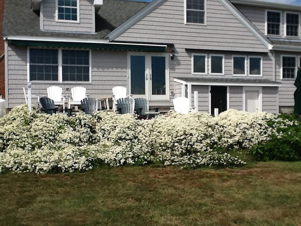 Deck - Bay  / Bridge view