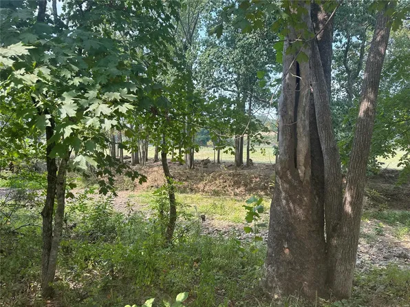 0 County Road 736, Bland, MO 65014