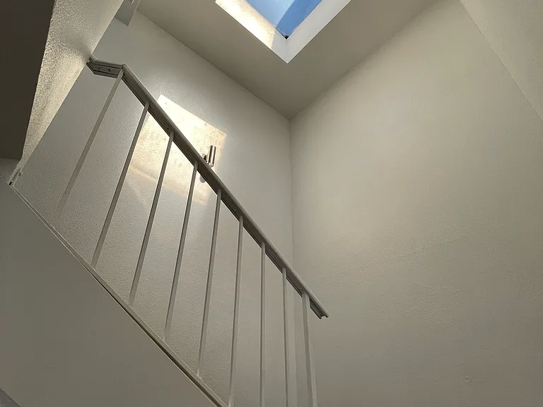 Skylight