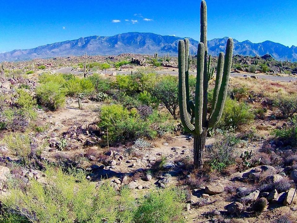 1337 W Tortolita Mountain Cir, Oro Valley, AZ 85755 Zillow