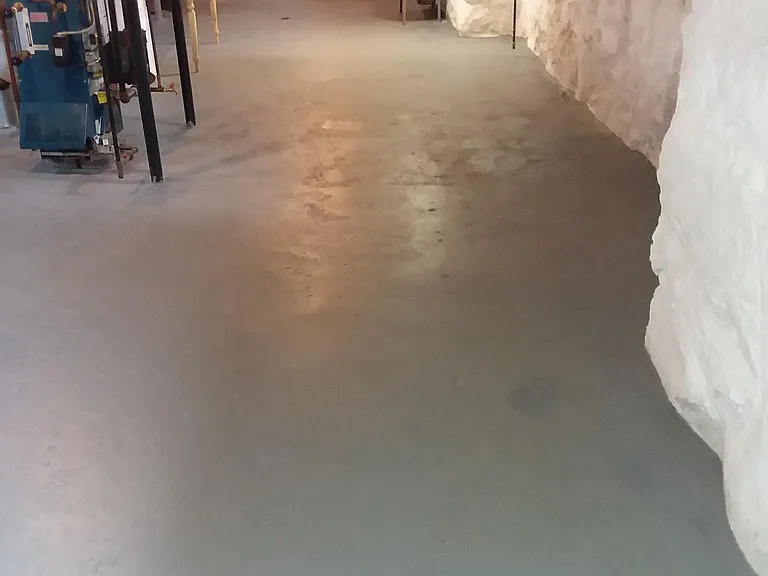 Painted cellar walls and floors