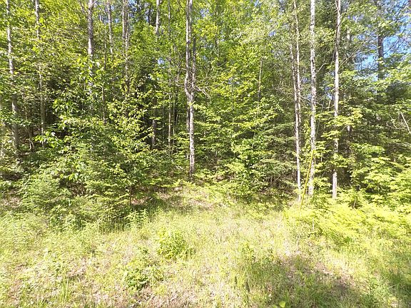 3rd image of Traverse Lake Trl