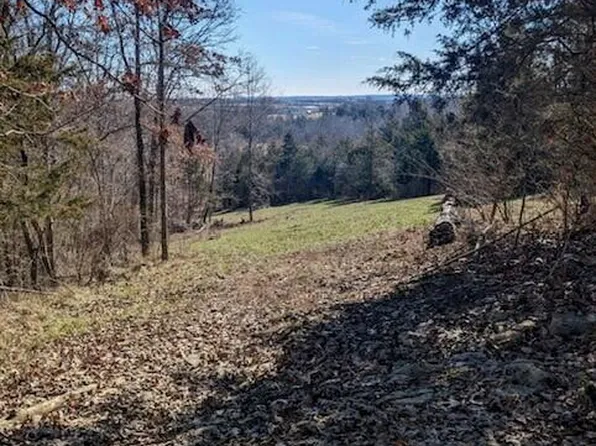 0 Fishing Creek Rd, Falmouth, KY 41040