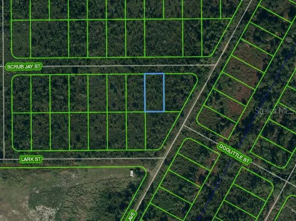 1435 Scrub Jay St #8, Lake Placid, FL 33852