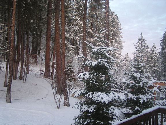 2/2007 Partial View Back Yard