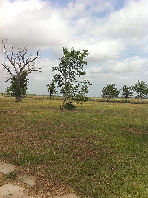 2nd image of 115 Spanish Oak Cir