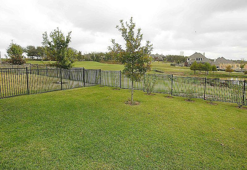 Back view looking twoard greenbelt